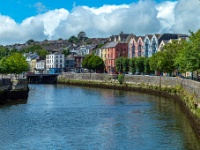 Cork